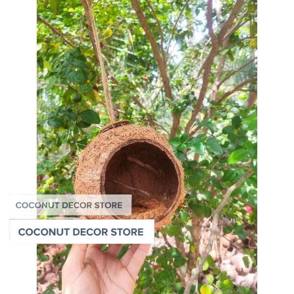 Large Mouth Coconut Shell Bird's Nest (Large Size Nest) With Nest Liner ...