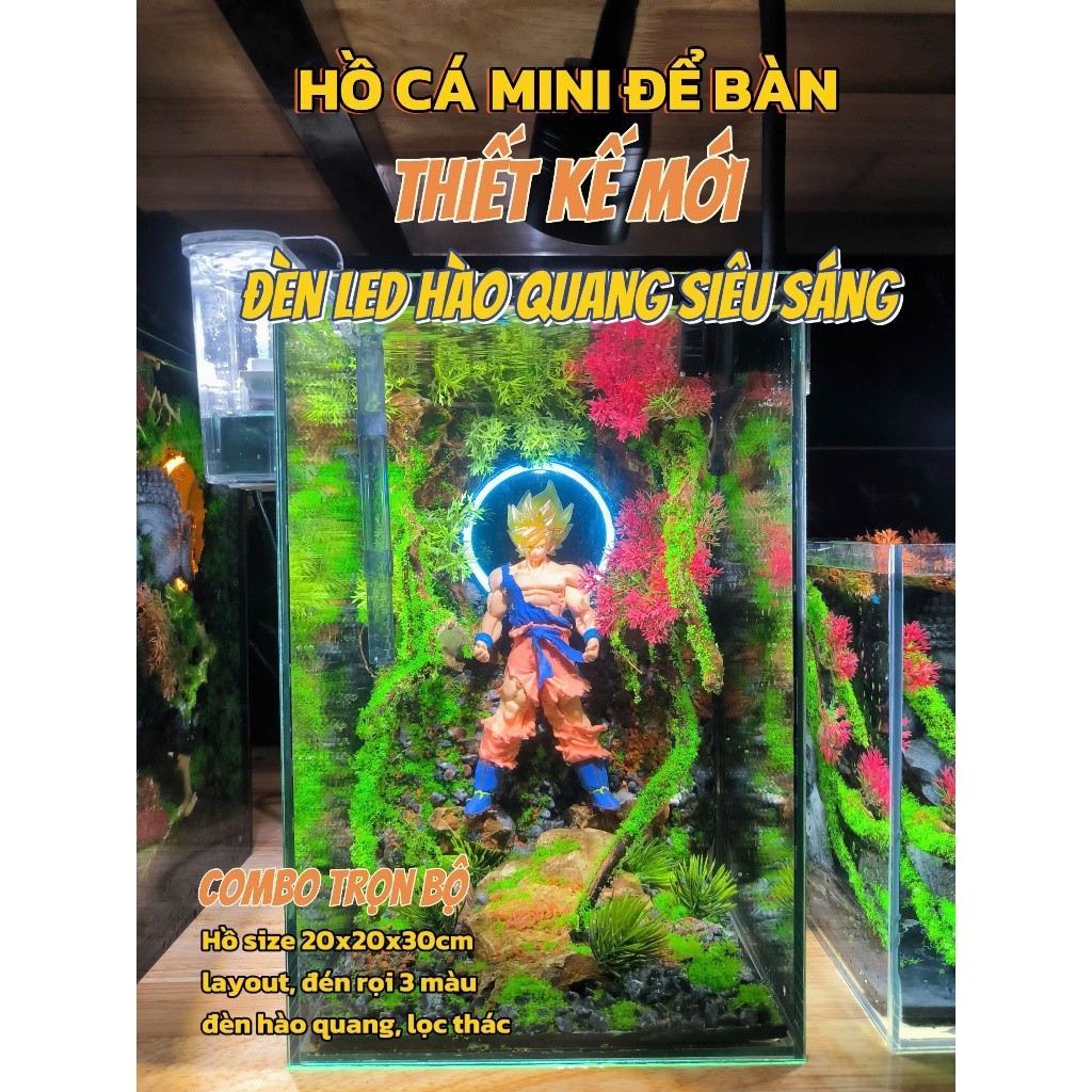 MINI FISH TANK combo - BETTA FISH POOL SETUP READY SUPER BEAUTIFUL ...