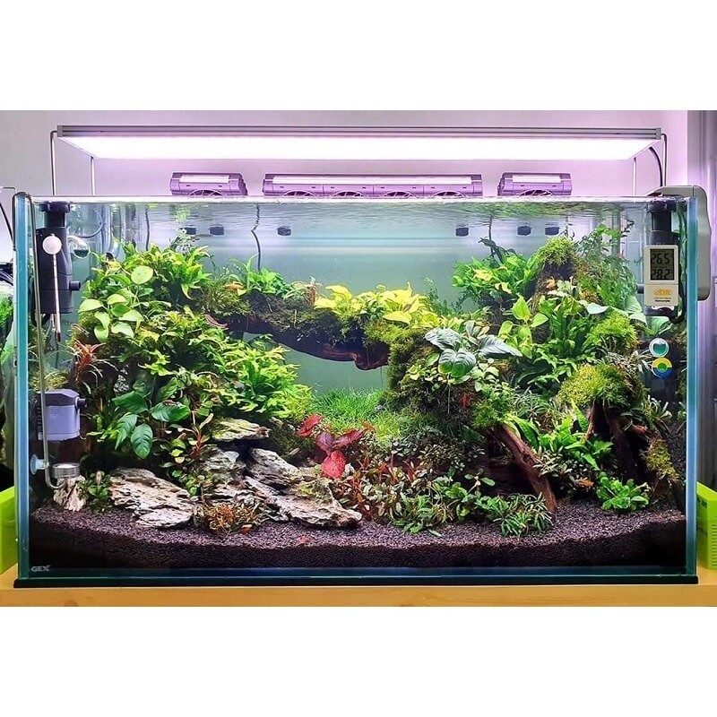 (K) Desktop mini aquarium mini fish tank 30x20x20cm and 20x20x30 ...